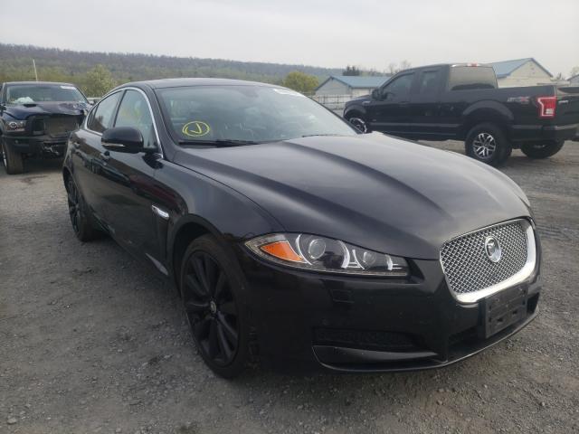 JAGUAR XF 2013 sajwj0ef9d8u08803