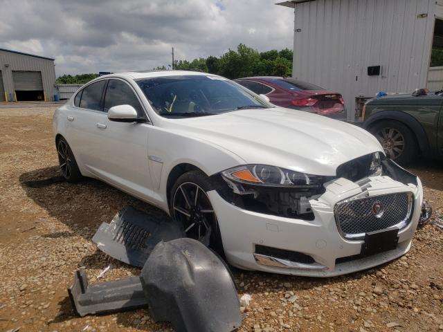 JAGUAR XF 2014 sajwj0ef9e8u26350