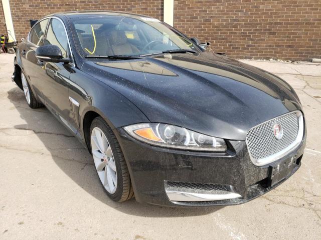 JAGUAR XF 3.0 SPO 2015 sajwj0ff4f8u56128