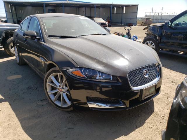 JAGUAR XF PORTFOL 2015 sajwj0ff6f8u55918