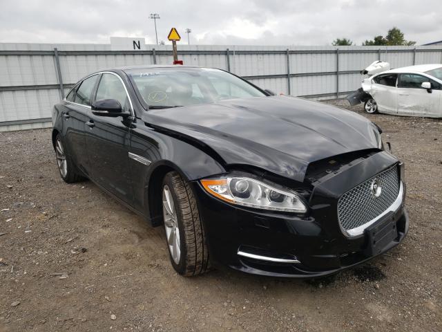 JAGUAR XJ 2013 sajwj1cd1d8v51462