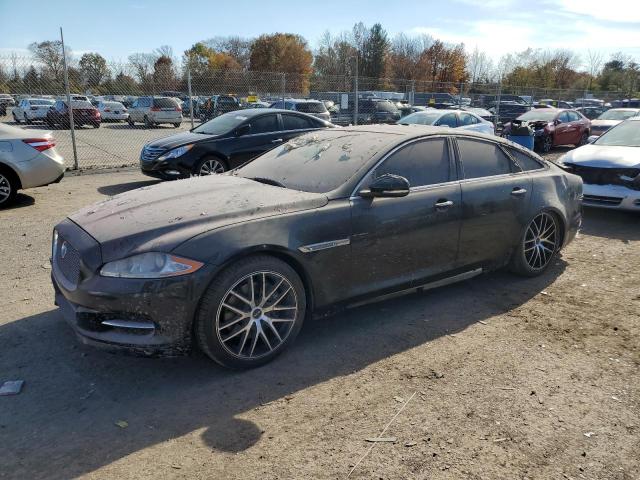 JAGUAR XJ 2015 sajwj1cd1f8v90815