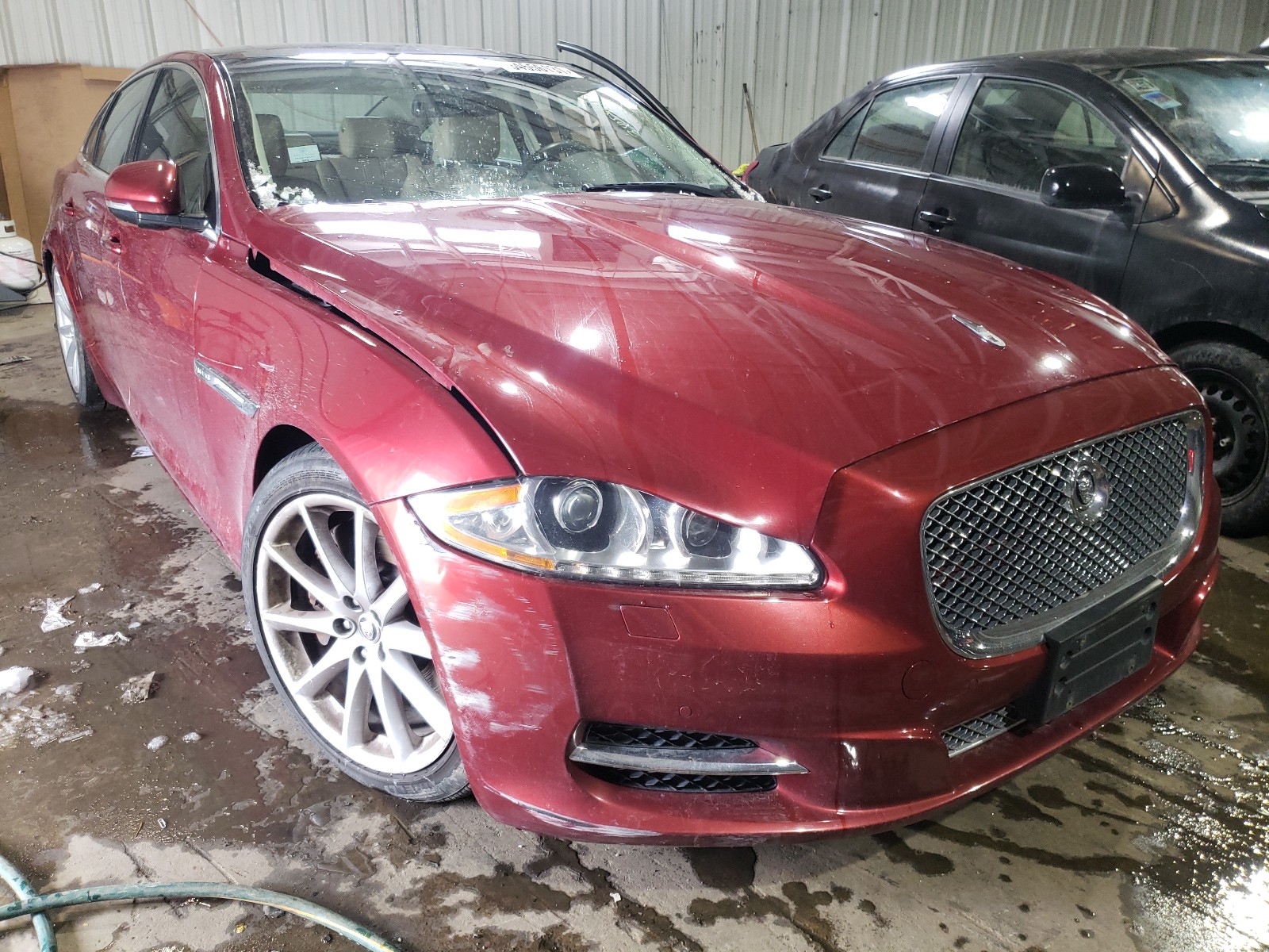 JAGUAR XJ 2013 sajwj1cd2d8v51521