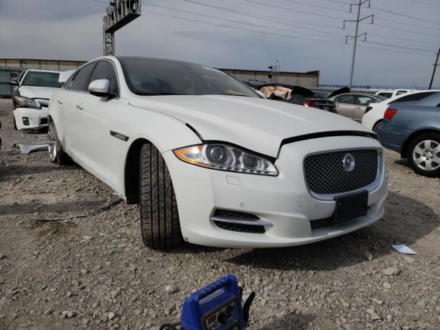 JAGUAR XJ 2013 sajwj1cd8d8v49949