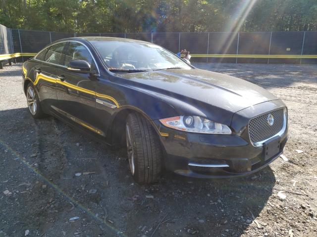 JAGUAR XJ 2013 sajwj1cdxd8v49001