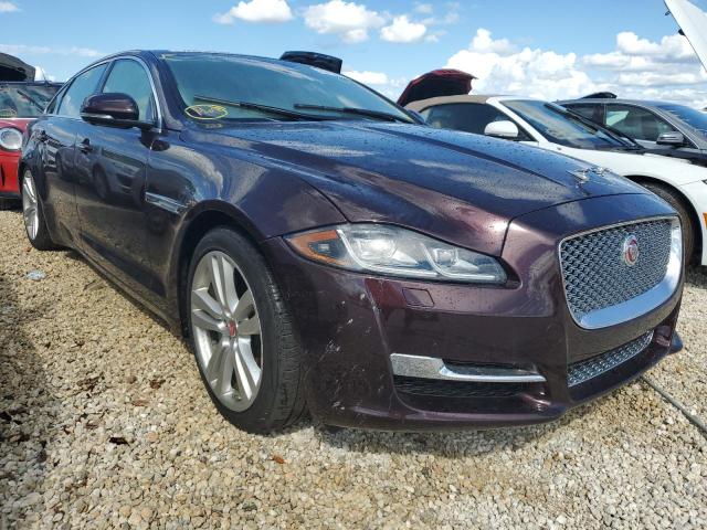 JAGUAR XJL PORTFO 2016 sajwj2gd4g8w00660