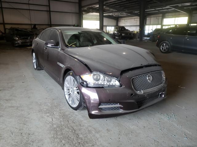 JAGUAR XJL PORTFO 2013 sajwj2gd5d8v47429