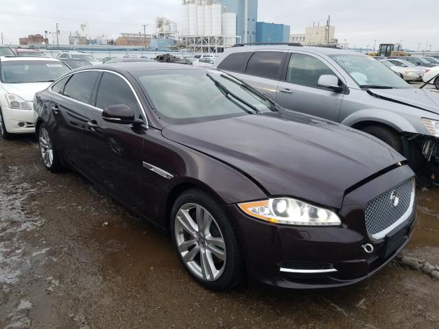 JAGUAR XJL PORTFO 2013 sajwj2gd8d8v50941