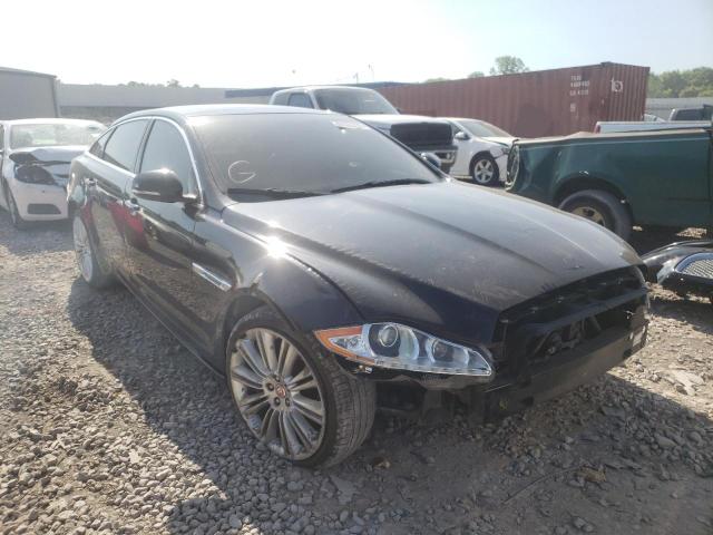 JAGUAR XJL PORTFO 2015 sajwj2gd8f8v84400