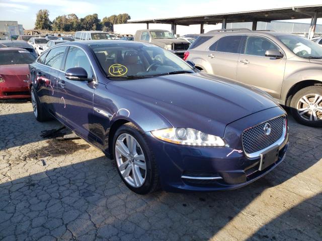 JAGUAR XJL PORTFO 2013 sajwj2gd9d8v50446