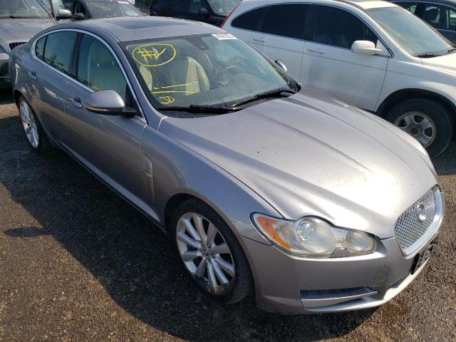 JAGUAR XF PREMIUM 2011 sajxa0gb6blr95924