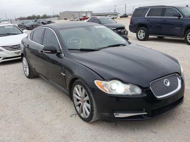 JAGUAR XF PREMIUM 2011 sajxa0gb6blr98564