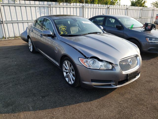 JAGUAR XF PREMIUM 2011 sajxa0gb8bls17690