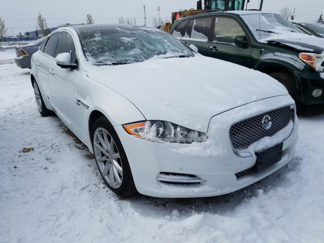 JAGUAR XJ 2013 sajxj1cd1d8v45908