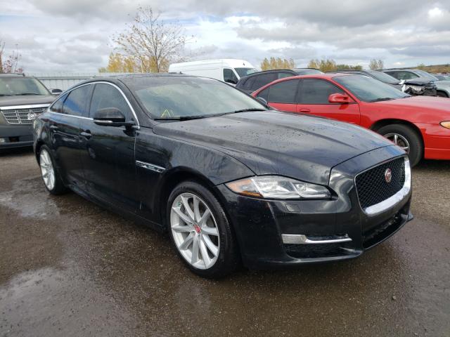 JAGUAR XJ R - SPO 2019 sajxj1cd9k8w21842