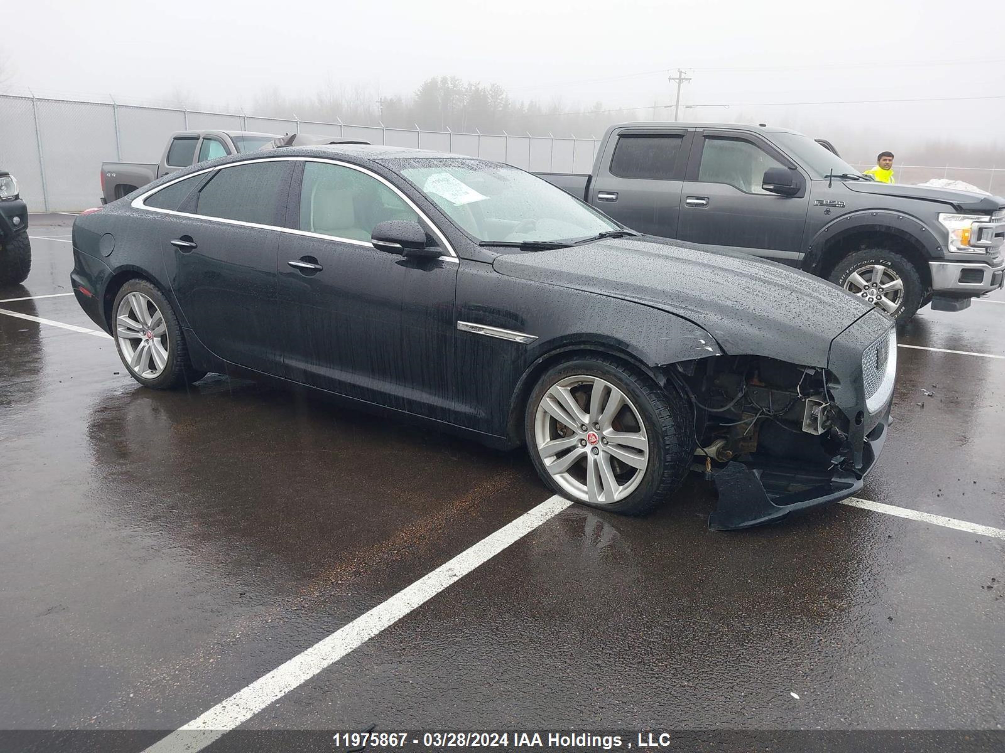 JAGUAR XJ 2016 sajxj1gd9g8v93350