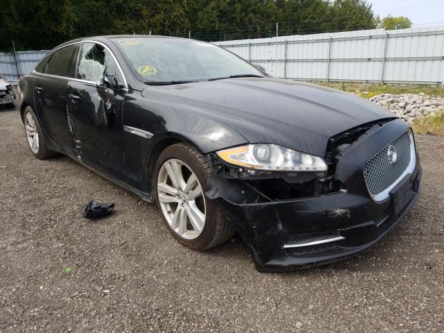 JAGUAR XJL PORTFO 2013 sajxj2gd2d8v44623