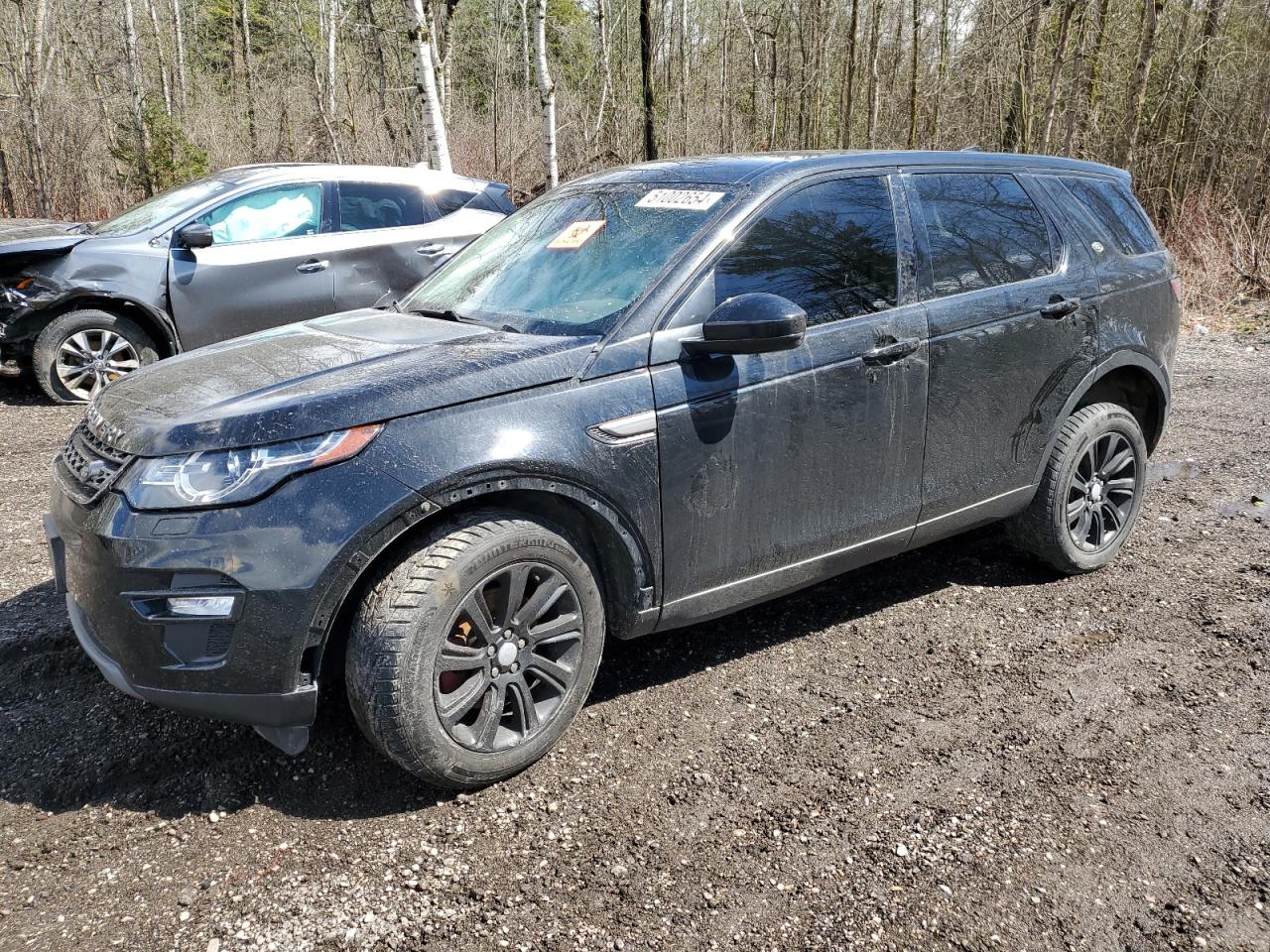 LAND ROVER DISCOVERY 2017 salcp2bg6hh697386