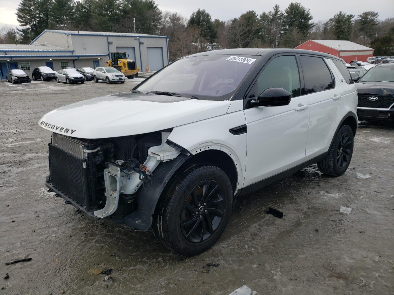 LAND ROVER DISCOVERY 2019 salcp2fxxkh808023