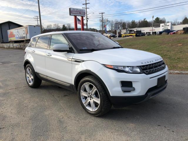 LAND ROVER RANGE ROVER EVOQUE 2013 salvn2bg1dh735101