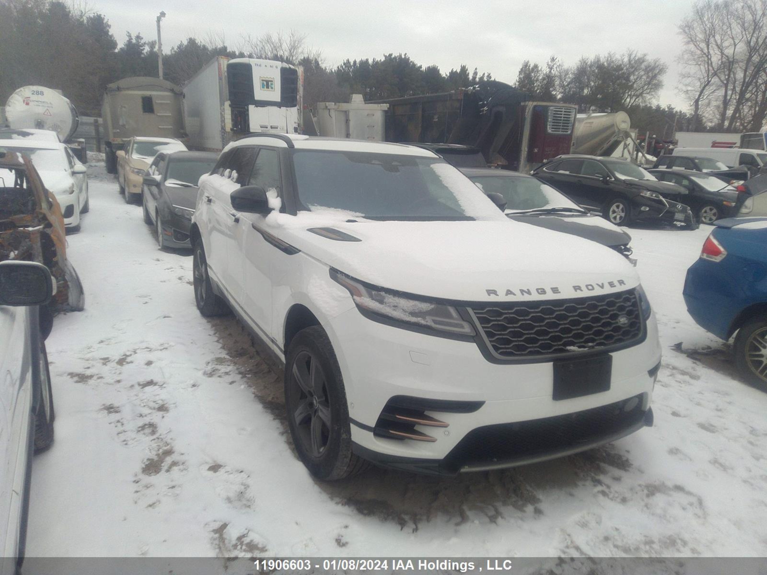 LAND ROVER RANGE ROVER VELAR 2021 salyt2eu8ma319639