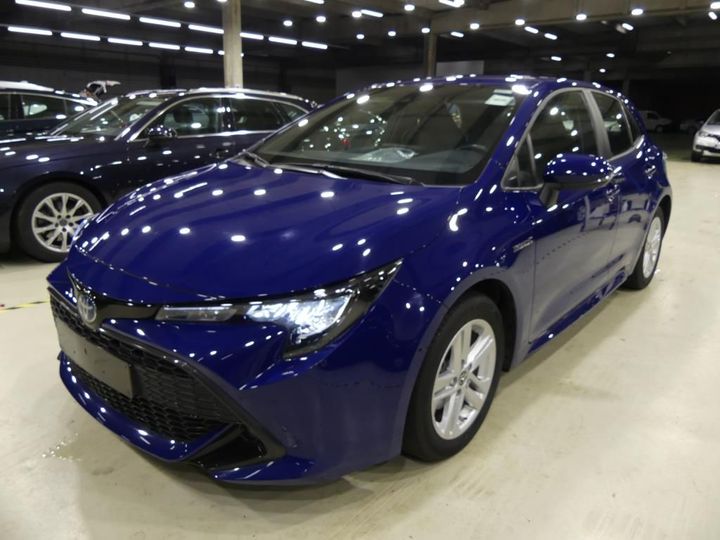 TOYOTA COROLLA HATCHBA 2019 sb1k93be30e053467