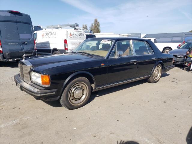 ROLLS-ROYCE SILVER SPI 1981 scazs42a7bcx02291