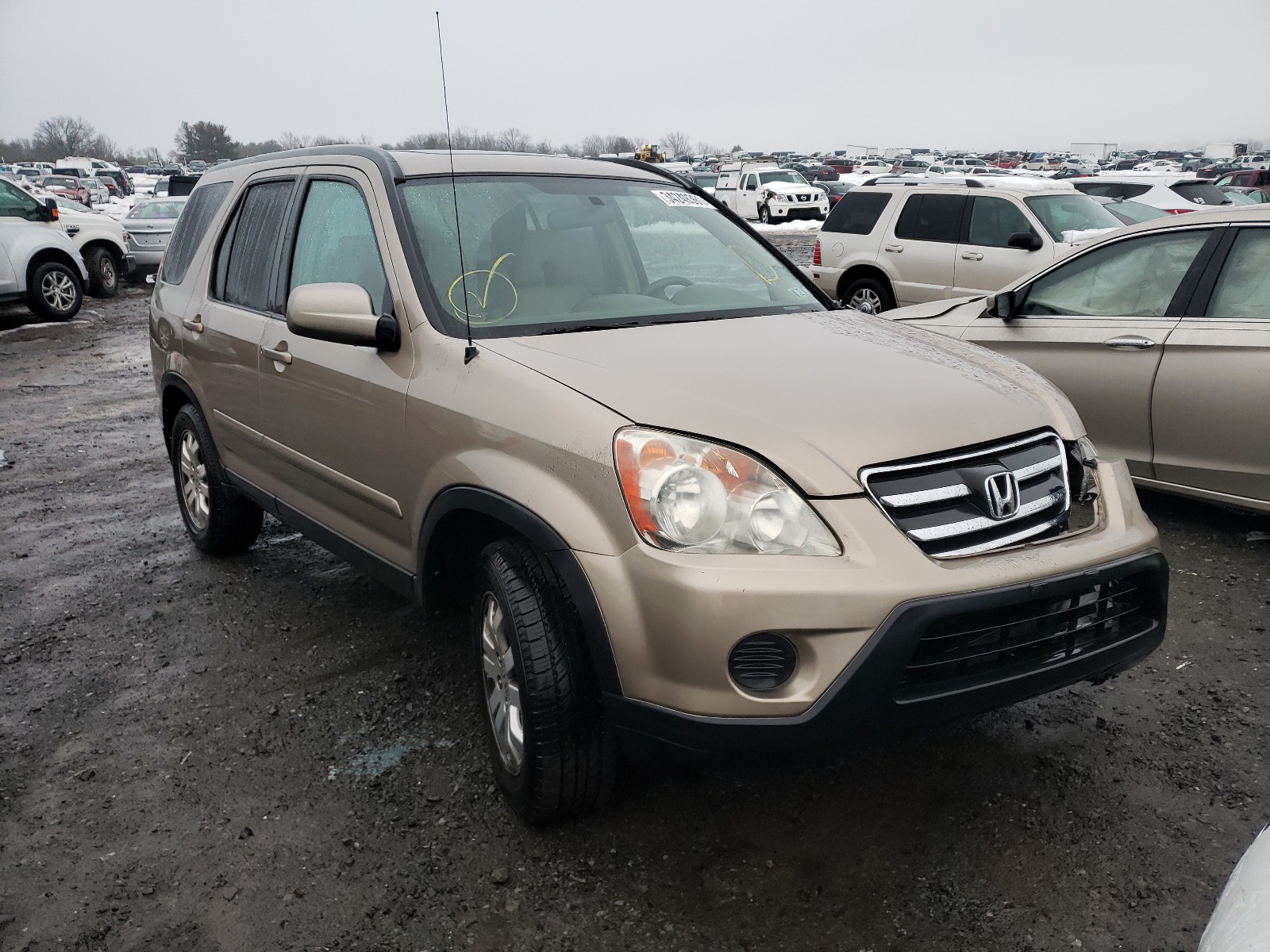 HONDA CR-V SE 2006 shsrd78906u415166