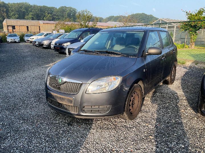 SKODA FABIA 2009 tmbaa25j593182790