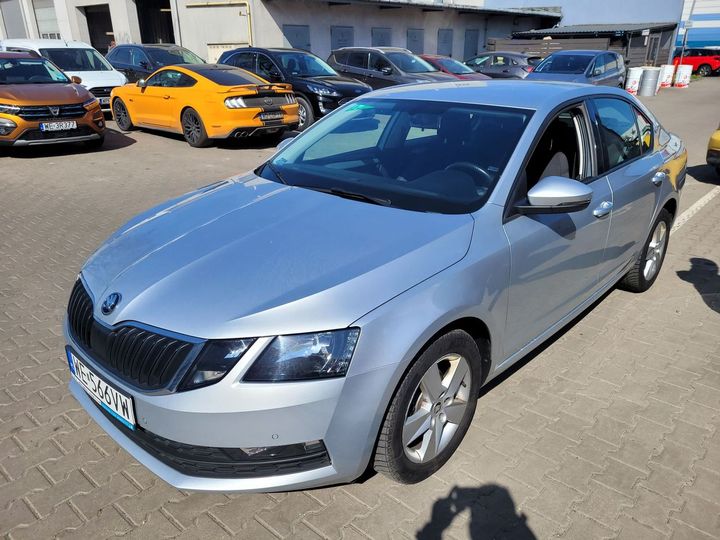 SKODA OCTAVIA 2019 tmbag7ne0k0123684