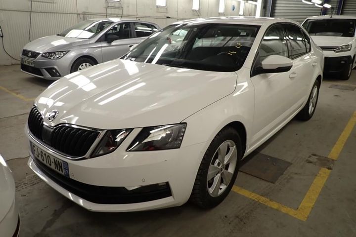 SKODA OCTAVIA 2019 tmbag7ne0k0242318