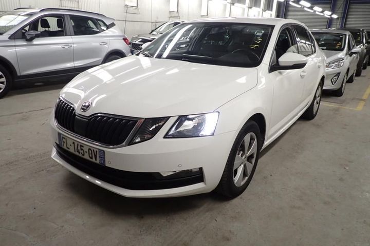 SKODA OCTAVIA 2019 tmbag7ne2k0243227