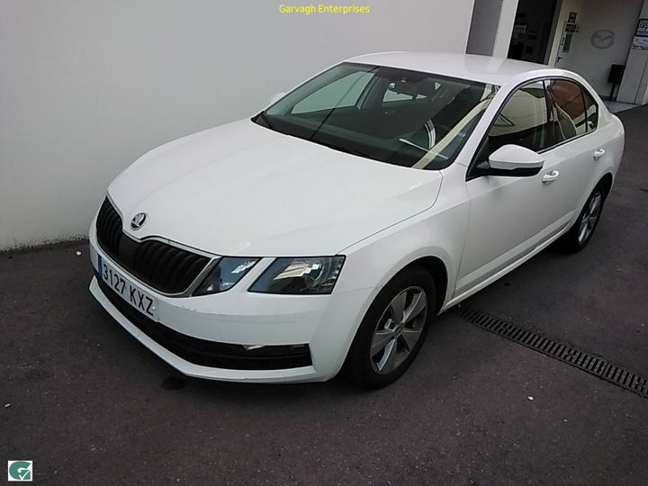 SKODA OCTAVIA 2019 tmbag7ne3k0196130