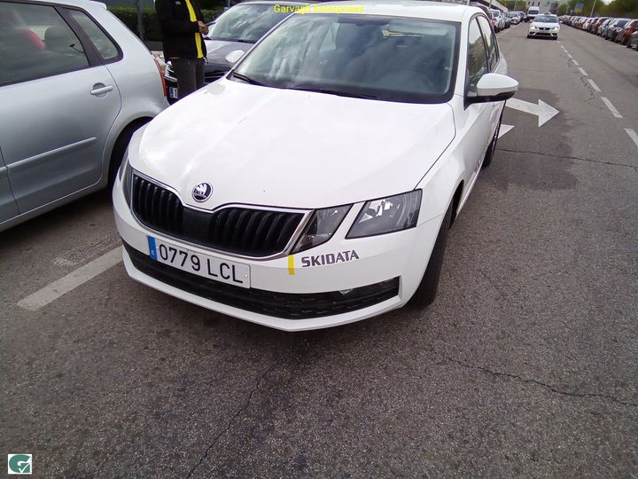 SKODA OCTAVIA 2019 tmbag7ne3l0057942