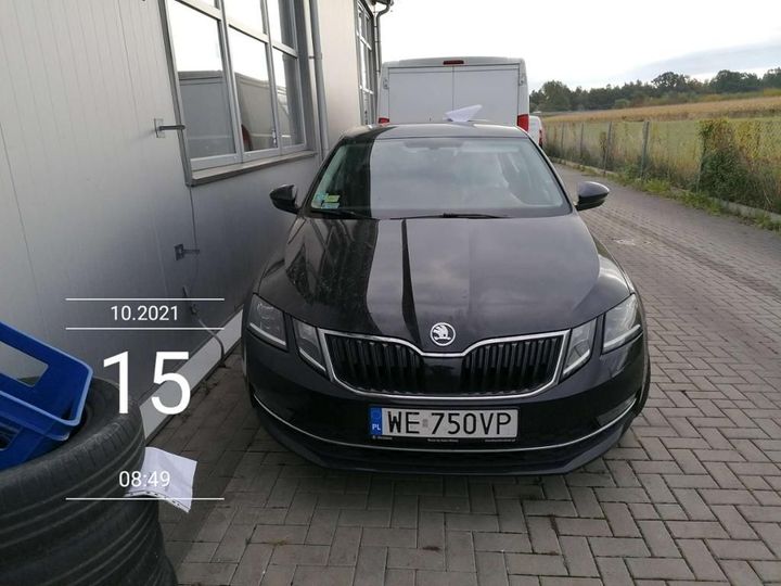 SKODA OCTAVIA 2019 tmbag7ne4k0133022