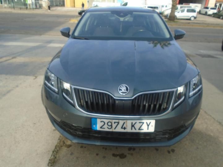 SKODA OCTAVIA 2019 tmbag7ne4k0235985