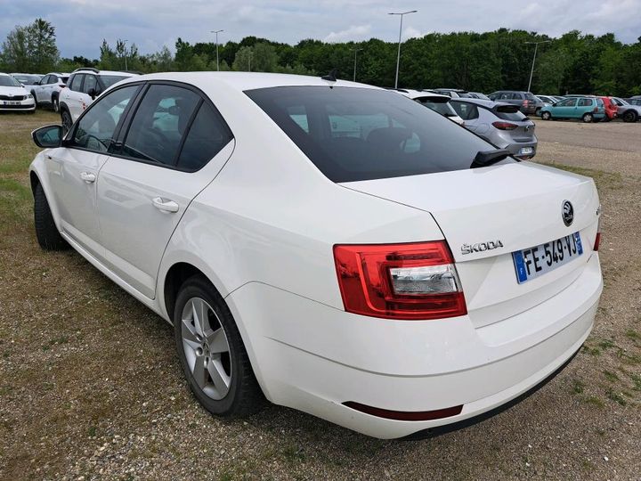 SKODA OCTAVIA 2019 tmbag7ne5k0133174