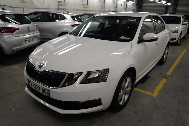 SKODA OCTAVIA 2019 tmbag7ne5k0239804