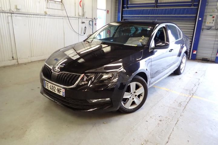 SKODA OCTAVIA 2019 tmbag7ne7k0135508