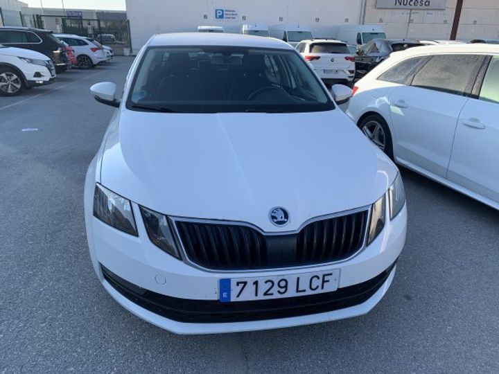 SKODA OCTAVIA 2019 tmbag7ne7l0039802