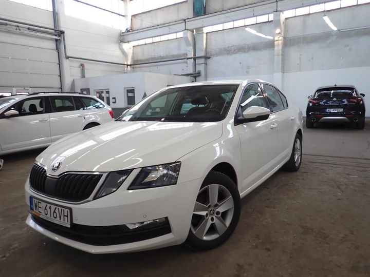 SKODA OCTAVIA 2019 tmbag7ne8k0066490