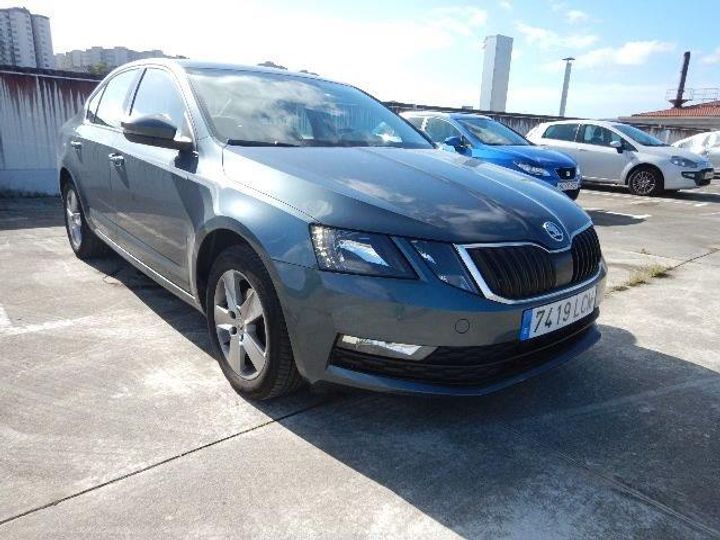 SKODA OCTAVIA 2019 tmbag7ne9l0045570