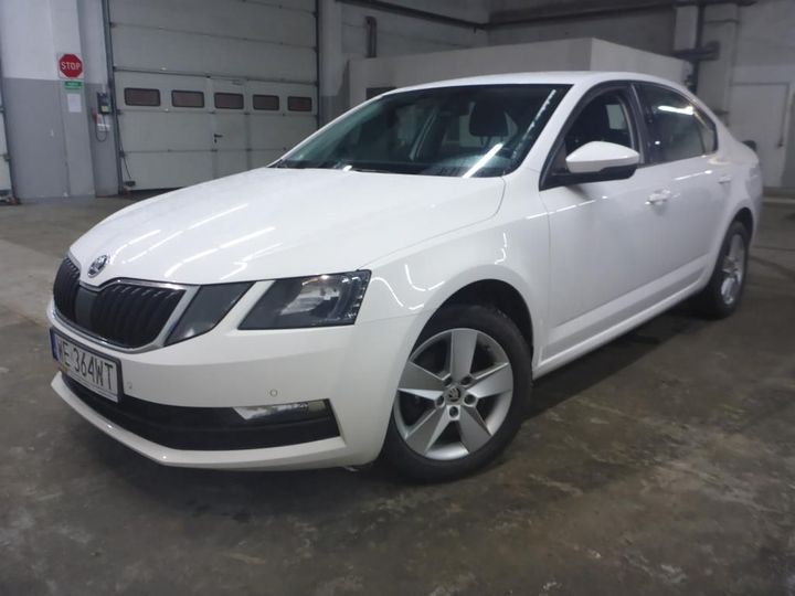 SKODA OCTAVIA 2019 tmbag7nexk0181740