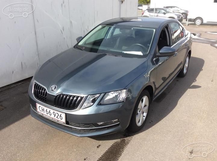 SKODA OCTAVIA 2019 tmbag9ne1k0078606