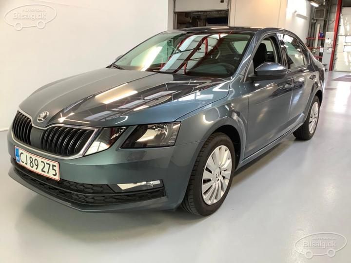 SKODA OCTAVIA 2019 tmbag9ne1k0202339