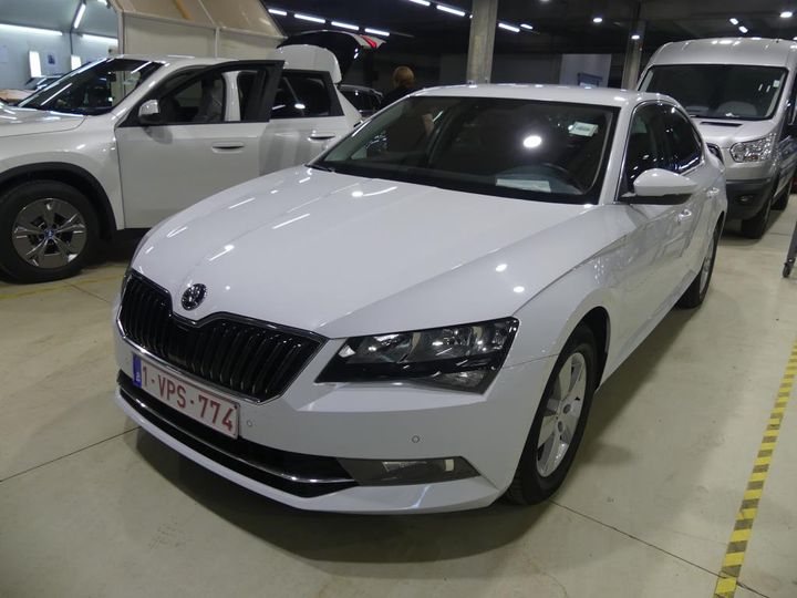 SKODA SUPERB 2019 tmbah7np7k7042574