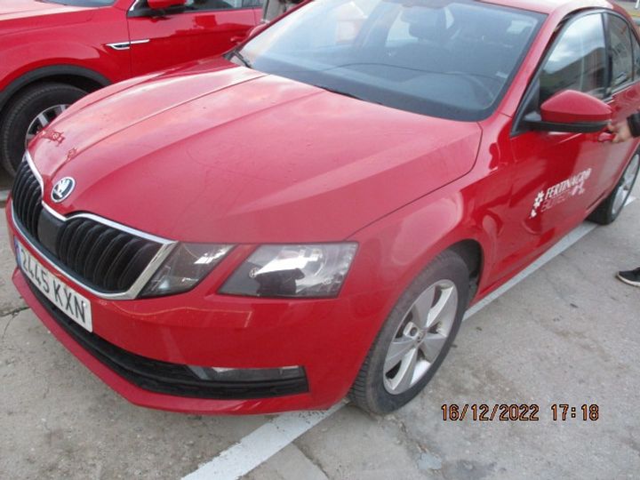 SKODA OCTAVIA 2019 tmbaj7ne4k0172131