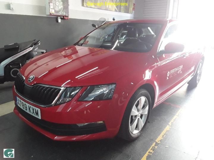 SKODA OCTAVIA 2019 tmbaj7ne7k0171202