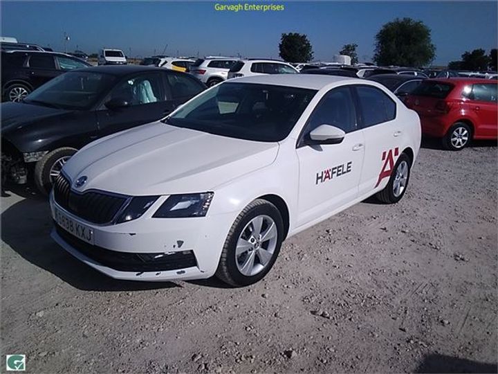 SKODA OCTAVIA 2019 tmbaj7ne8k0215059