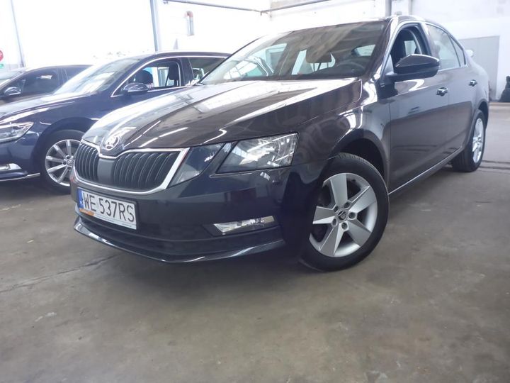 SKODA OCTAVIA 2017 tmbaj7ne9j0176027